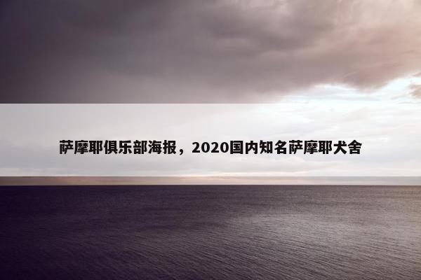 萨摩耶俱乐部海报，2020国内知名萨摩耶犬舍