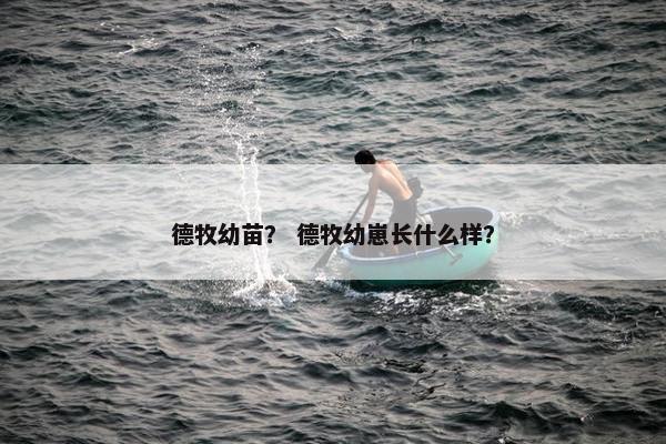 德牧幼苗？ 德牧幼崽长什么样？