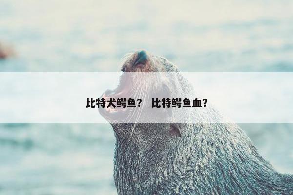 比特犬鳄鱼？ 比特鳄鱼血？