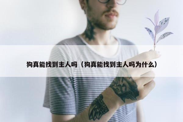 狗真能找到主人吗（狗真能找到主人吗为什么）