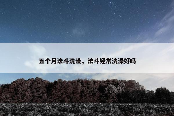 五个月法斗洗澡，法斗经常洗澡好吗