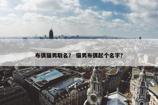 布偶猫男取名？ 猫男布偶起个名字？