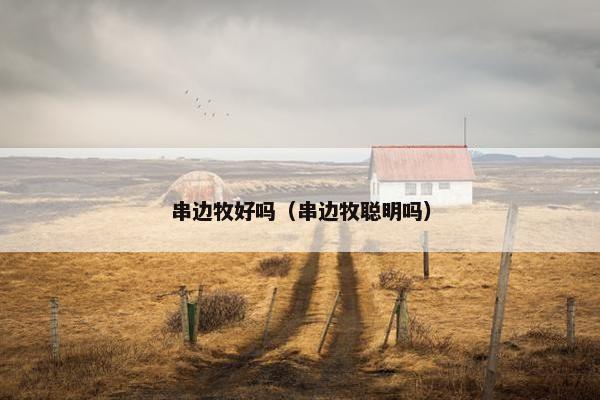 串边牧好吗（串边牧聪明吗）