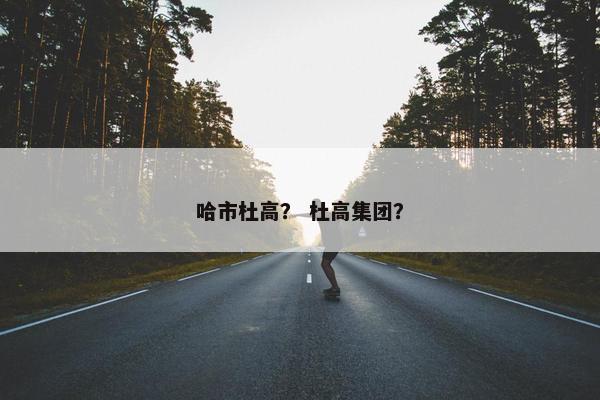 哈市杜高？ 杜高集团？