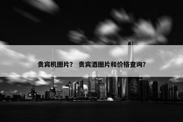 贵宾机图片？ 贵宾酒图片和价格查询？