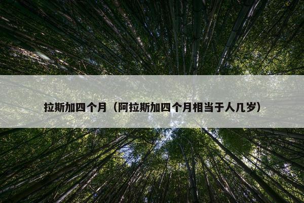 拉斯加四个月(阿拉斯加四个月相当于人几岁)