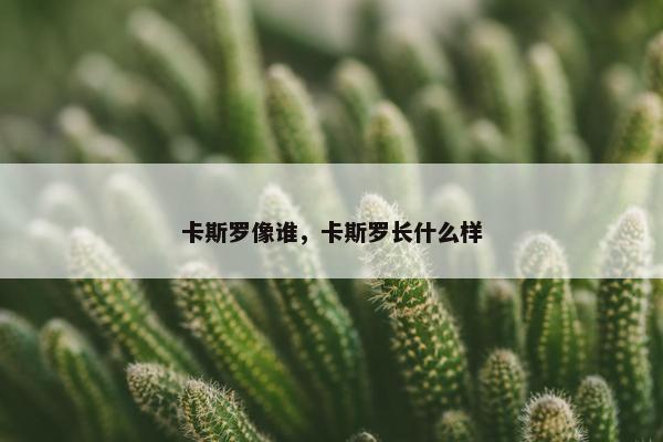 卡斯罗像谁，卡斯罗长什么样