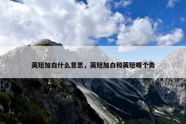 英短加白什么意思,英短加白和英短哪个贵 英短加白什么意思,英短加白和英短哪个贵