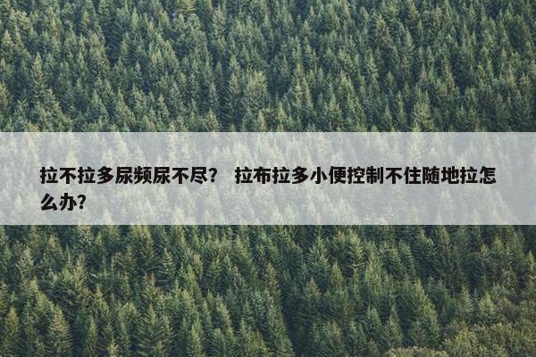 拉不拉多尿频尿不尽? 拉布拉多小便控制不住随地拉怎么办?