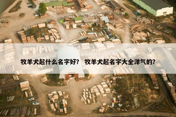 牧羊犬起什么名字好？ 牧羊犬起名字大全洋气的？