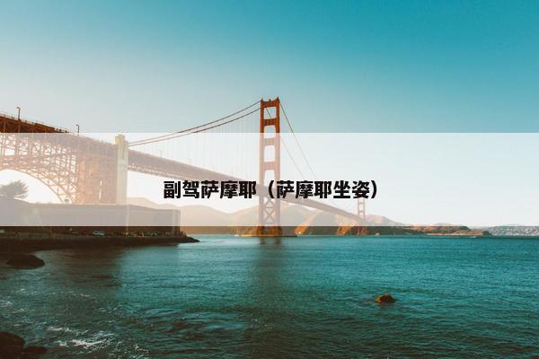 副驾萨摩耶（萨摩耶坐姿）