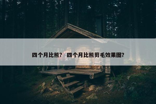 四个月比熊? 四个月比熊剪毛效果图?