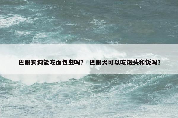 巴哥狗狗能吃面包虫吗? 巴哥犬可以吃馒头和饭吗? 巴哥狗狗能吃面包虫吗? 巴哥犬可以吃馒头和饭吗?