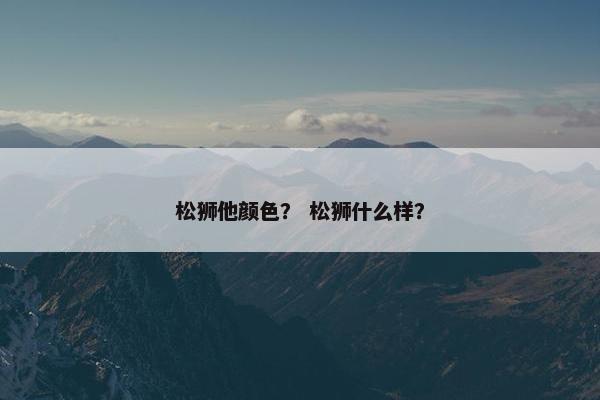 松狮他颜色？ 松狮什么样？