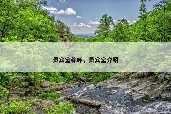 贵宾室称呼，贵宾室介绍