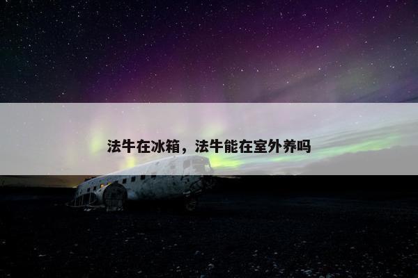 法牛在冰箱，法牛能在室外养吗