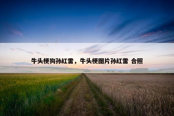 牛头梗狗孙红雷，牛头梗图片孙红雷 合照