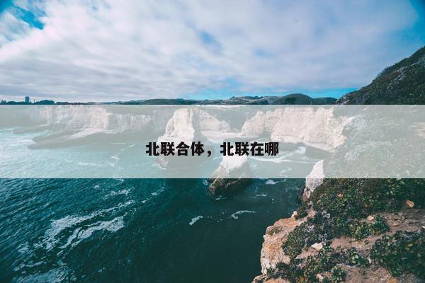 北联合体，北联在哪