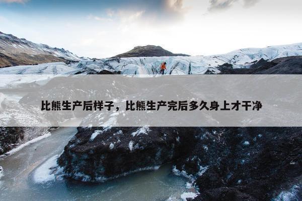 比熊生产后样子，比熊生产完后多久身上才干净