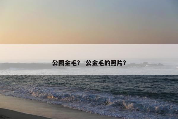 公园金毛? 公金毛的照片? 公园金毛? 公金毛的照片?