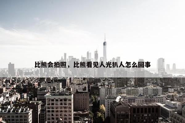 比熊会拍照，比熊看见人光扒人怎么回事