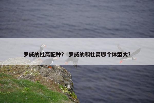 罗威纳杜高配种？ 罗威纳和杜高哪个体型大？