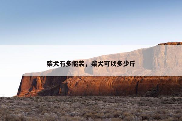 柴犬有多能装，柴犬可以多少斤