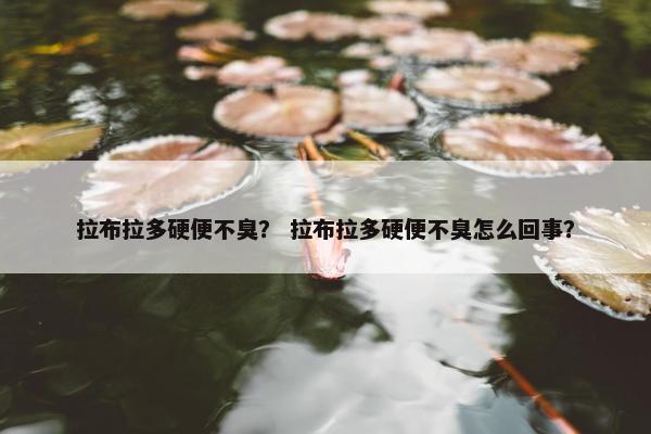 拉布拉多硬便不臭？ 拉布拉多硬便不臭怎么回事？