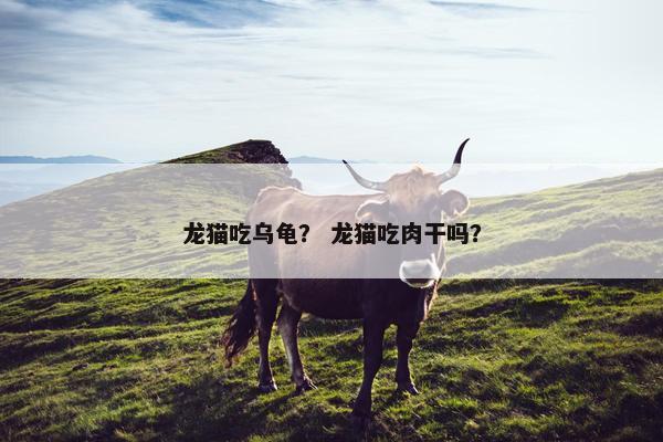 龙猫吃乌龟？ 龙猫吃肉干吗？