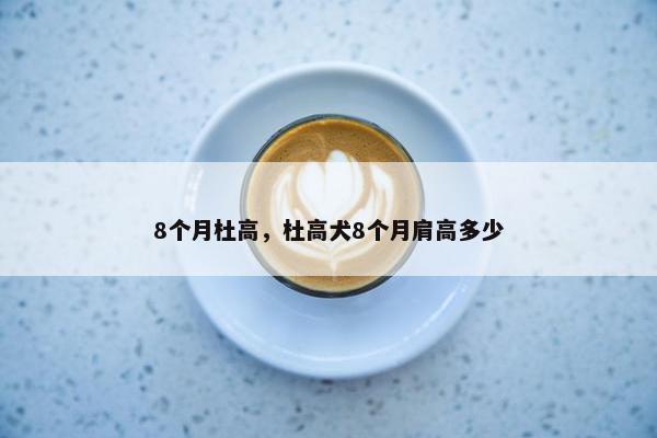 8个月杜高，杜高犬8个月肩高多少