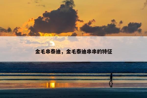 金毛串泰迪，金毛泰迪串串的特征