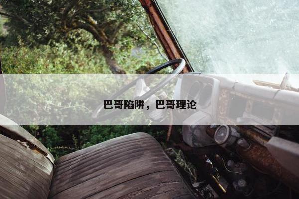 巴哥陷阱，巴哥理论