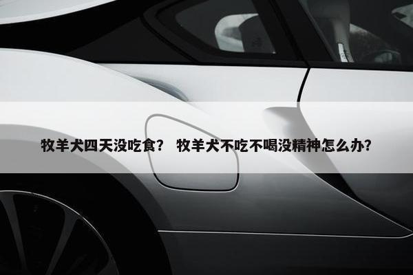 牧羊犬四天没吃食？ 牧羊犬不吃不喝没精神怎么办？