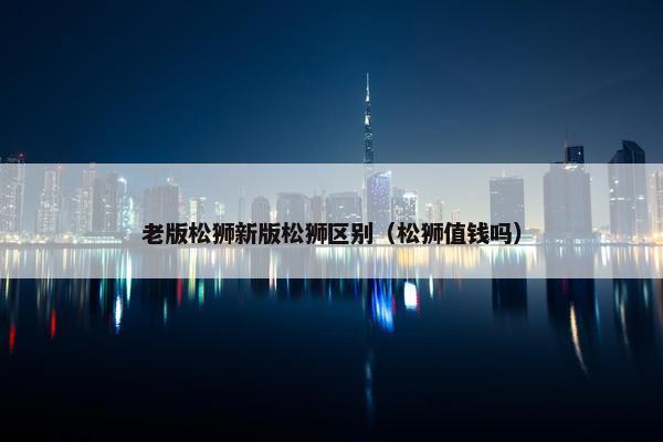 老版松狮新版松狮区别（松狮值钱吗）