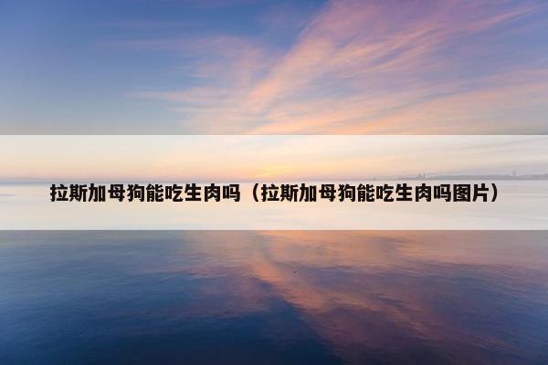 拉斯加母狗能吃生肉吗（拉斯加母狗能吃生肉吗图片）