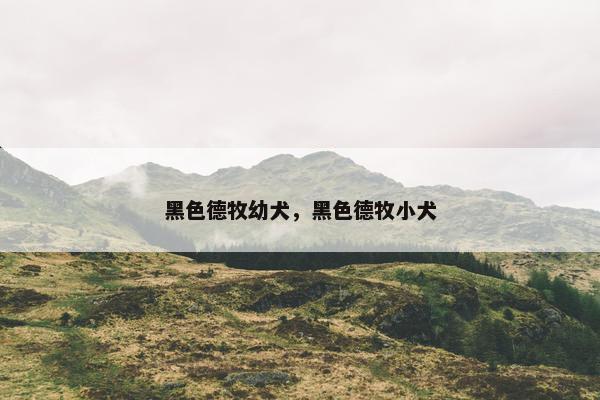 黑色德牧幼犬，黑色德牧小犬