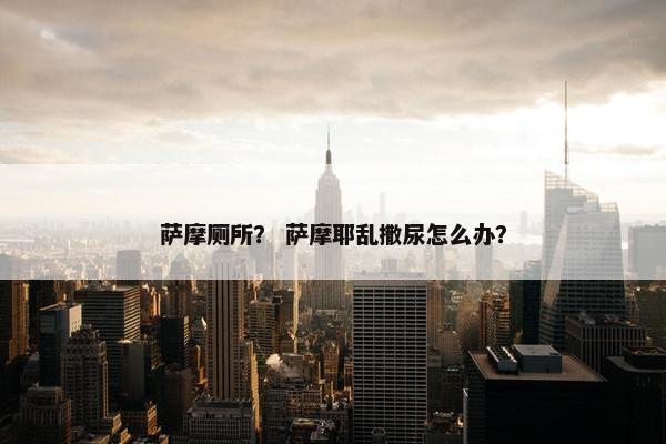 萨摩厕所? 萨摩耶乱撒尿怎么办?