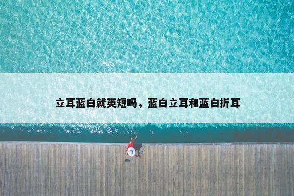 立耳蓝白就英短吗，蓝白立耳和蓝白折耳