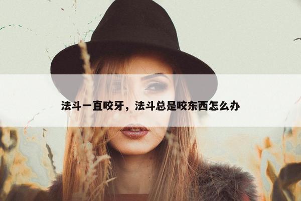 法斗一直咬牙，法斗总是咬东西怎么办