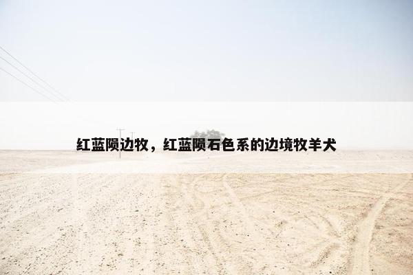 红蓝陨边牧,红蓝陨石色系的边境牧羊犬