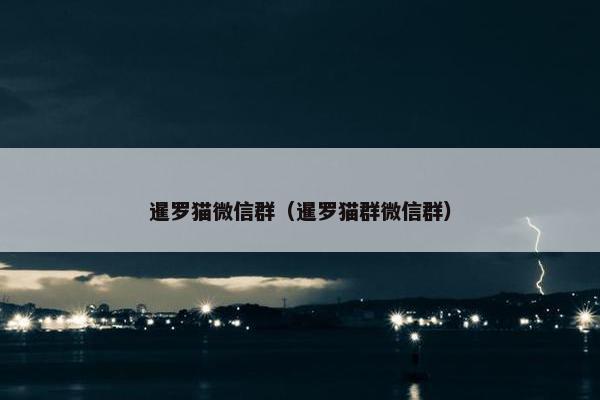 暹罗猫微信群（暹罗猫群微信群）