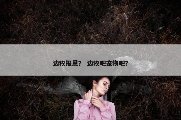 边牧报恩？ 边牧吧宠物吧？