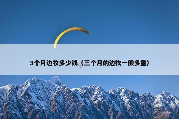 3个月边牧多少钱(三个月的边牧一般多重)