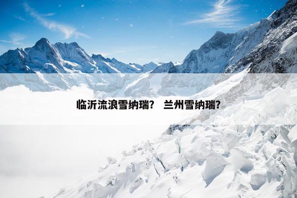 临沂流浪雪纳瑞? 兰州雪纳瑞? 临沂流浪雪纳瑞? 兰州雪纳瑞?