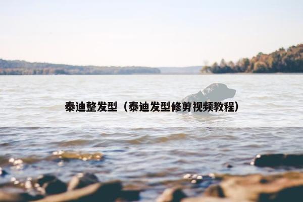 泰迪整发型(泰迪发型修剪视频教程) 泰迪整发型(泰迪发型修剪视频教程)