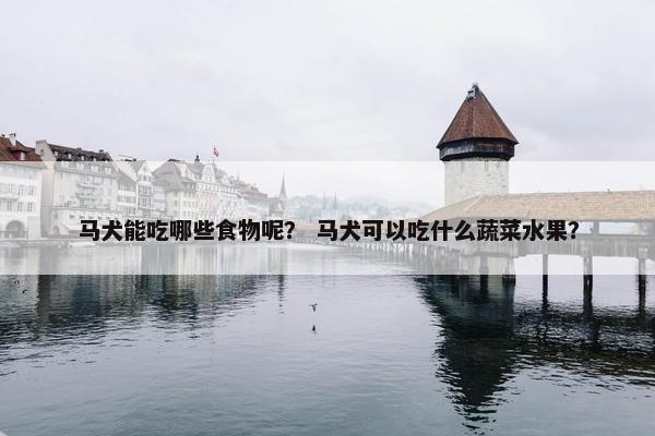 马犬能吃哪些食物呢？ 马犬可以吃什么蔬菜水果？