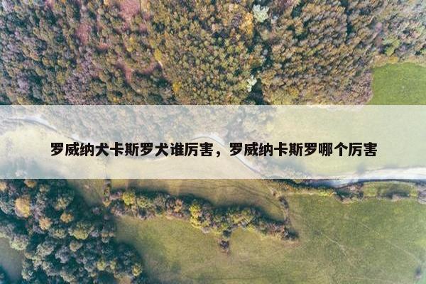 罗威纳犬卡斯罗犬谁厉害，罗威纳卡斯罗哪个厉害