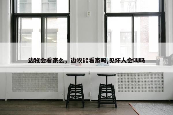 边牧会看家么,边牧能看家吗,见坏人会叫吗