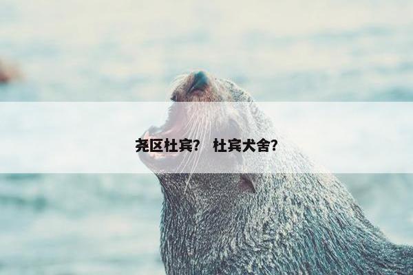尧区杜宾？ 杜宾犬舍？