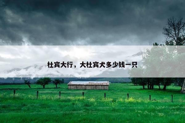 杜宾大行，大杜宾犬多少钱一只